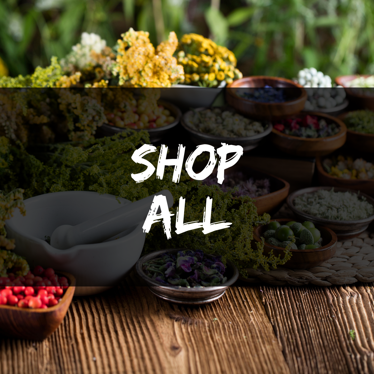 Shop All